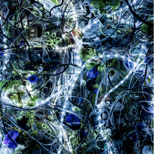 【送料無料】 CD/Aimer/ninelie EP (通常盤)/SECL-1884