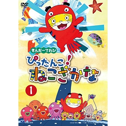 【送料無料】 DVD/キッズ/きんだーてれび ぴったんこ!ねこざかな 1/COBC-6948