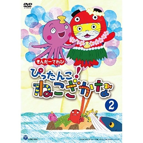 【送料無料】 DVD/キッズ/きんだーてれび ぴったんこ!ねこざかな 2/COBC-6949