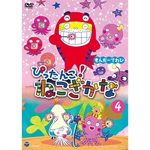 【送料無料】 DVD/キッズ/きんだーてれび ぴったんこ!ねこざかな 4/COBC-6974