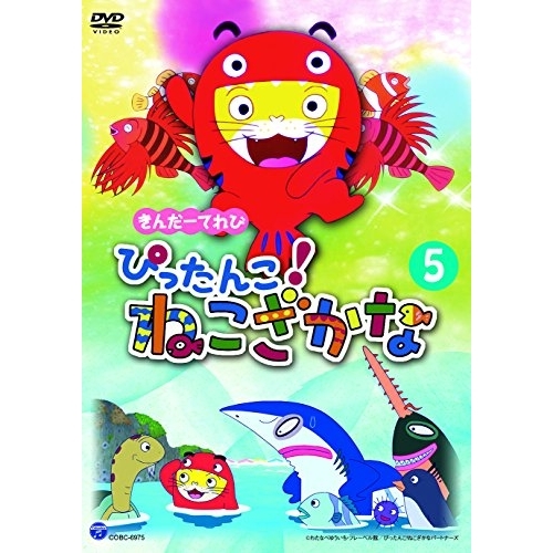【送料無料】 DVD/キッズ/きんだーてれび ぴったんこ!ねこざかな 5/COBC-6975