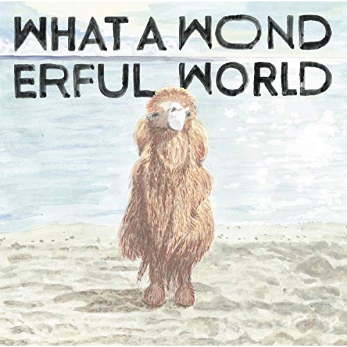 【送料無料】 CD/YASUYUKI HORIGOME/What A Wonderful World/COCP-40488