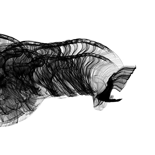 CD / 坂東祐大 / TRANCE/花火 (UHQCD) / COCQ-85575