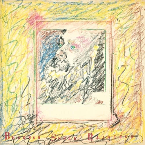 LP(30cm) / 玉木宏樹 / 存在の詩 (解説付) / COJA-9560