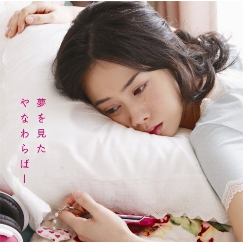 【送料無料】 CD/やなわらばー/夢を見た/AKCY-58030