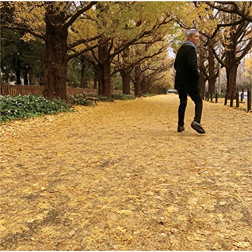 CD / 佐野元春 / 或る秋の日 (Blu-specCD2) / DMA-35