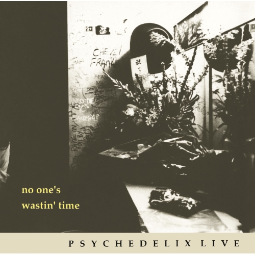 【送料無料】 CD/PSYCHEDELIX/NO ONE'S WASTIN' TIME -revisited- (Blu-specCD2)/MHCL-30466