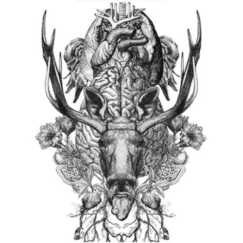 CD / BiS / Re:STUPiD / XQJZ-1058