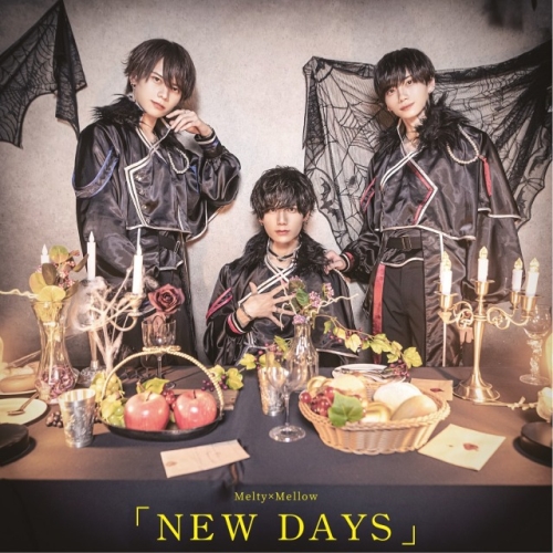 CD / Melty×Mellow / NEW DAYS (Type-B) / QARF-69164