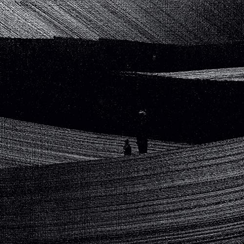 CD / スワヴェク・ヤスクウケ / ミュージック・オン・キャンバス (解説付) / RPOZ-10063