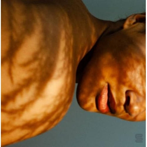 CD / フリーダ・トゥレイ / ホームバディ (解説歌詞対訳付) / RPOZ-10111