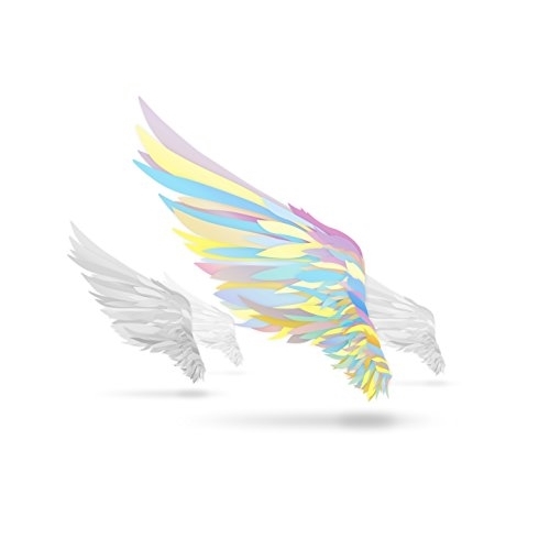 【送料無料】 CD/アニメ/翼を持つ者 ~Not an angel Just a dreamer~ (CD+DVD)/EYCA-11678