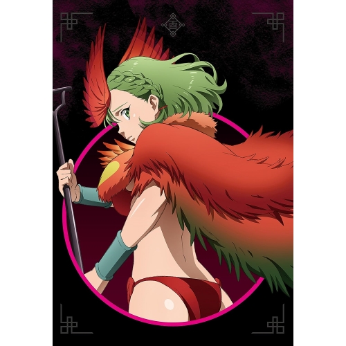【送料無料】 DVD/TVアニメ/十二大戦 ディレクターズカット版 2/EYBA-11715