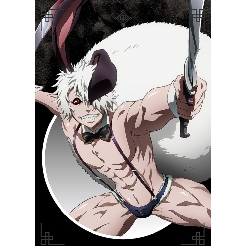 BD / TVアニメ / 十二大戦 ディレクターズカット版 5(Blu-ray) / EYXA-11724