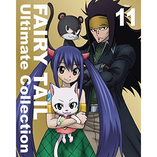 BD / TVアニメ / FAIRY TAIL Ultimate Collection Vol.11(Blu-ray) / EYXA-12269