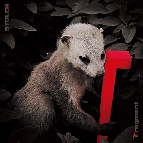 【送料無料】 CD/STOLEN/Fragment (紙ジャケット)/UMA-1121