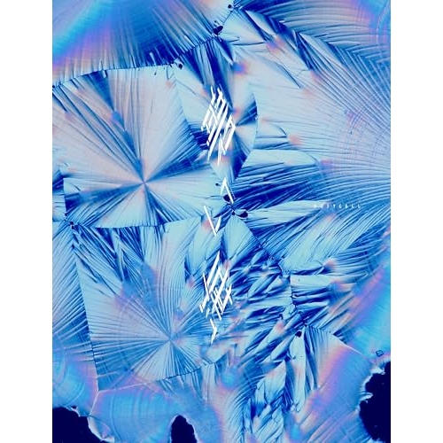 CD / DUSTCELL / 碧い海 (初回生産限定盤) / XNTH-8