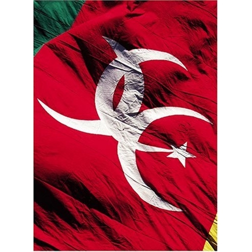 DVD / JOHNNY,LOUIS & CHAR / REAL ROCK / EDBJ-2006