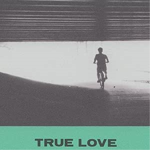 CD / HOVVDY / TRUE LOVE (解説歌詞対訳付) / XQNK-1025