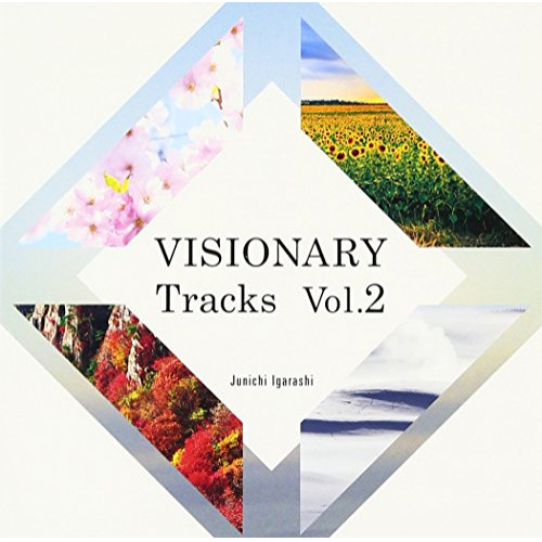 【送料無料】 CD/五十嵐淳一/VISIONARY Tracks Vol.2/MUCE-1003