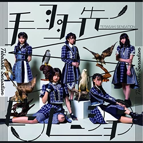 【送料無料】 CD/手羽先センセーション/手羽先センセーション (紙ジャケット) (Type-B)/MUCD-1481