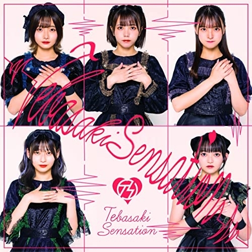 【送料無料】 CD/手羽先センセーション/手羽先センセーション (紙ジャケット) (Type-C)/MUCD-1482