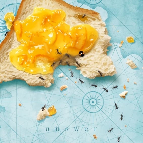 CD / おいしくるメロンパン / answer (通常盤) / XNRJ-10030