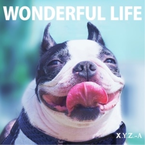 【送料無料】 CD/X.Y.Z.→A/WONDERFUL LIFE (通常盤)/YZBT-10002