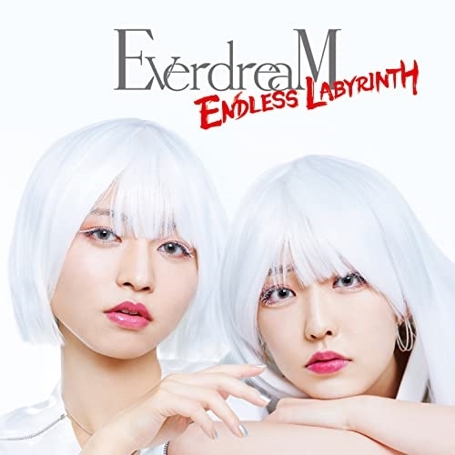 CD / EverdreaM / ENDLESS LABYRINTH (CD+DVD) / XNHI-1