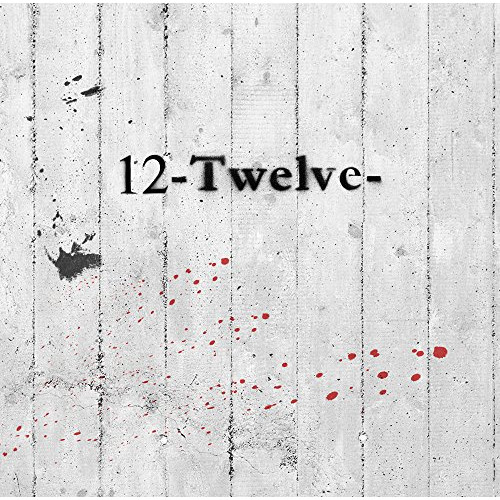 【送料無料】 CD/生熊耕治/12-Twelve-/QAFJ-10004