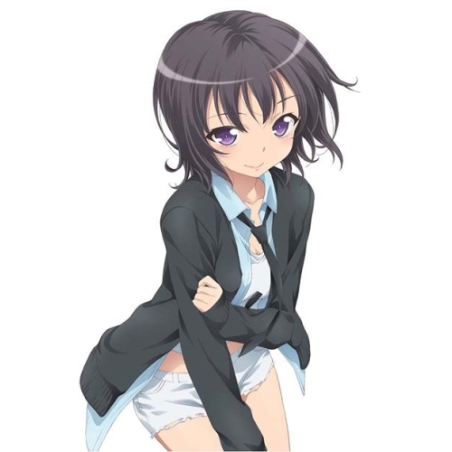 BD / TVアニメ / 僕は友達が少ないNEXT 第2巻(Blu-ray) / ZMXZ-8392