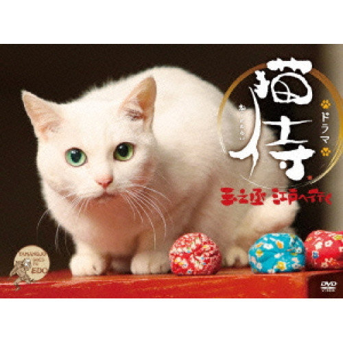 【送料無料】 DVD/国内TVドラマ/スペシャルドラマ「猫侍 玉之丞、江戸へ行く」 (本編ディスク+特典ディスク)/ZMBH-10613