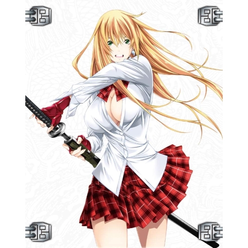 【送料無料】 DVD/OVA/一騎当千 Western Wolves/ZMBZ-12892