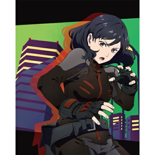 DVD / TVアニメ / ブギーポップは笑わない 第4巻 / ZMBZ-12984