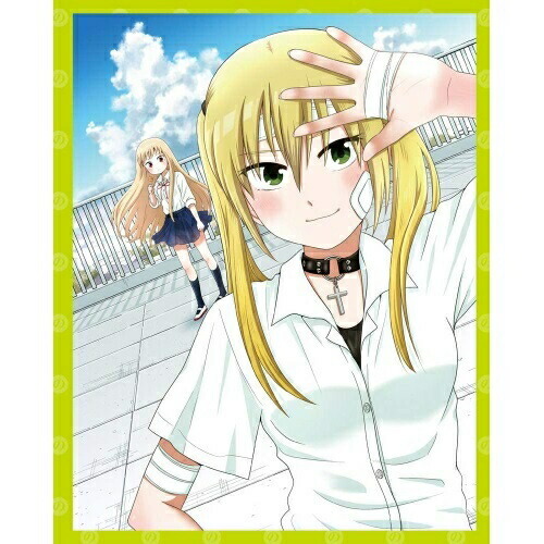 BD / TVアニメ / 女子高生の無駄づかい Vol.2(Blu-ray) / ZMXZ-13452