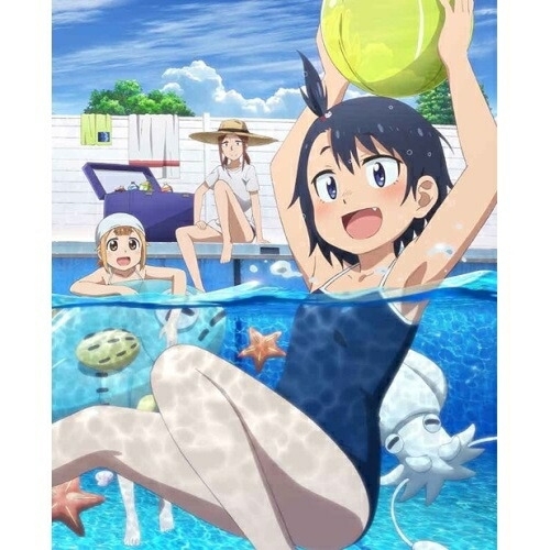 DVD / TVアニメ / 放課後ていぼう日誌 Vol.2 / ZMBZ-14092