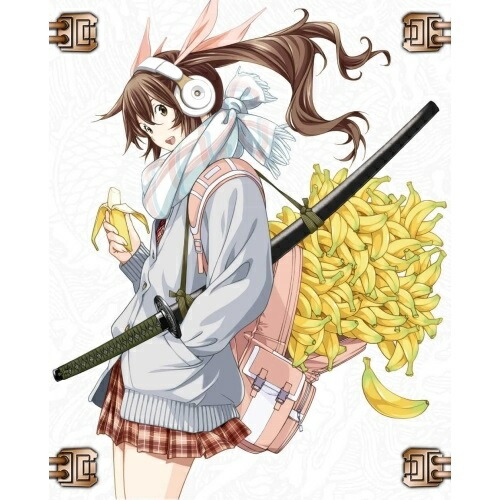 DVD / TVアニメ / 真・一騎当千 / ZMBZ-15681