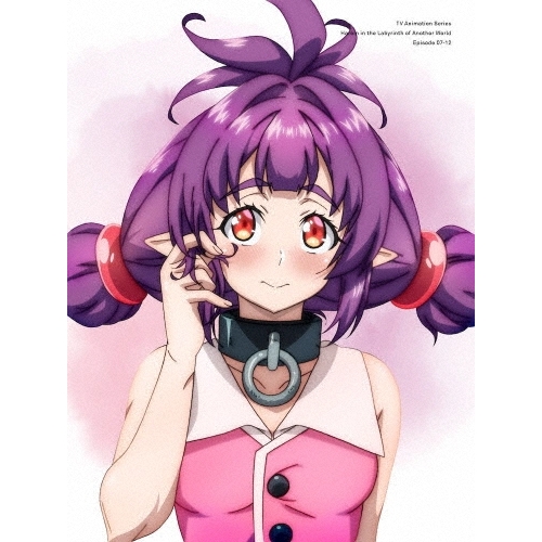 【送料無料】 BD/TVアニメ/異世界迷宮でハーレムを Blu-ray BOX 下巻(Blu-ray)/ZMAZ-15932