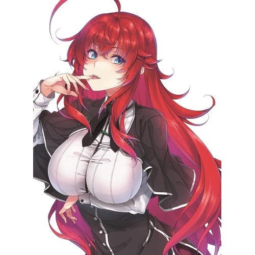 BD / TVアニメ / ハイスクールD×D HERO Blu-ray BOX(Blu-ray) / ZMAZ-16781