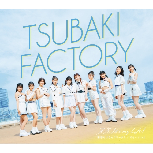 CD / つばきファクトリー / 勇気 It's my Life!/妄想だけならフリーダム/でも…いいよ (通常盤A) / EPCE-7785