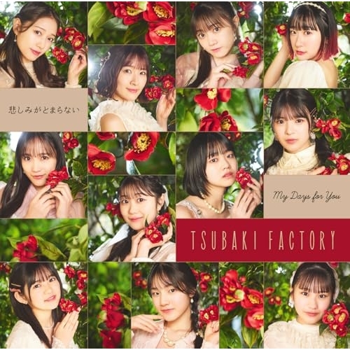 CD / つばきファクトリー / My Days for You/悲しみがとまらない (CD+Blu-ray) (初回生産限定盤SP) / EPCE-7930