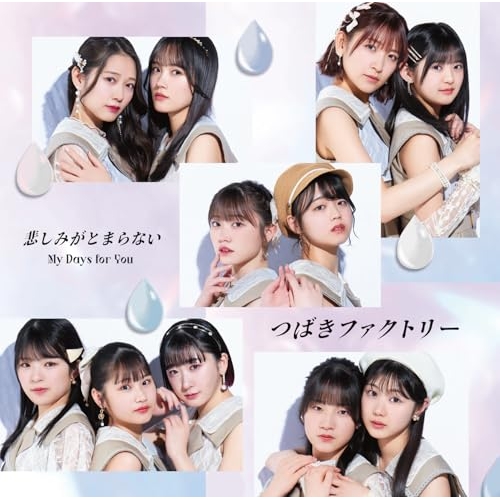 CD / つばきファクトリー / My Days for You/悲しみがとまらない (通常盤B) / EPCE-7933