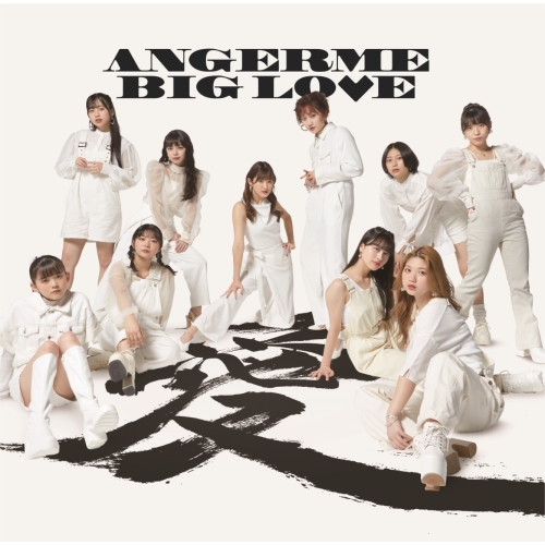CD / アンジュルム / BIG LOVE (通常盤) / HKCN-50756