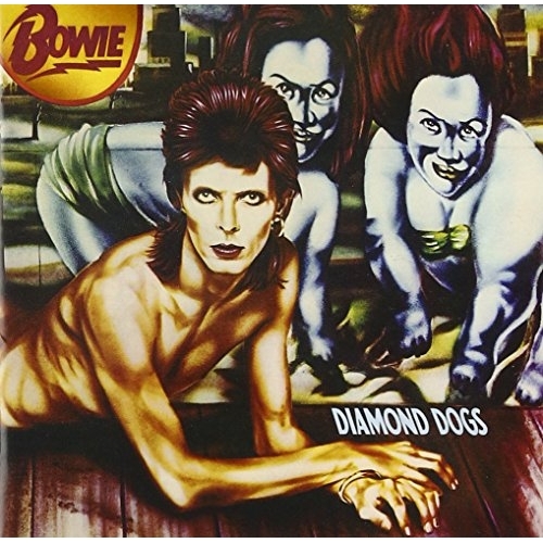 CD / デヴィッド・ボウイ / ダイアモンドの犬 (解説歌詞対訳付) / WPCR-17594