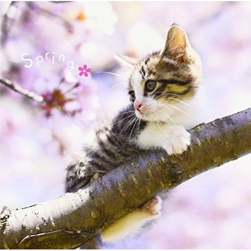 【送料無料】 CD/クラシック/まるごと!春 -Spring- (解説付)/WPCS-13655