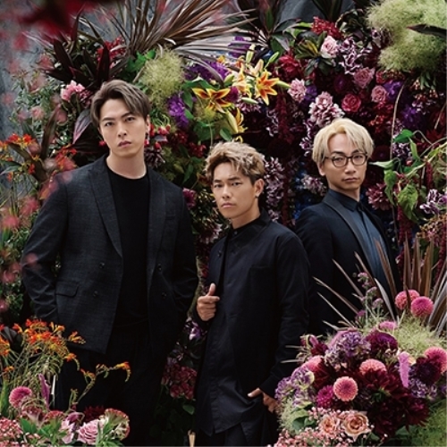 【送料無料】 CD/Sonar Pocket/flower (CD+DVD) (初回限定盤B)/WPZL-31534