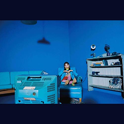【送料無料】 CD/indigo la End/濡れゆく私小説 (CD+DVD) (初回限定盤)/WPZL-31658