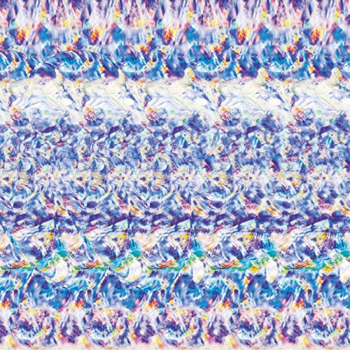 CD / Tempalay / ゴーストアルバム (通常盤) / WPCL-13277