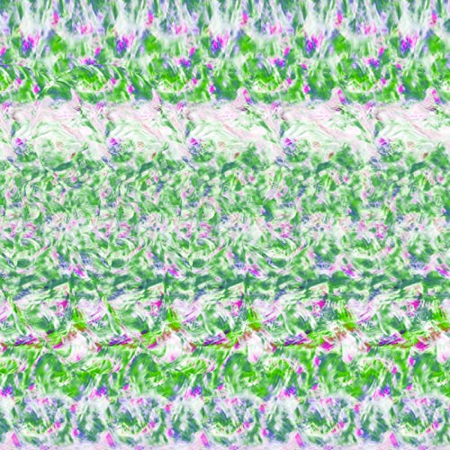 CD / Tempalay / ゴーストアルバム (CD+DVD) (初回限定盤) / WPZL-31811