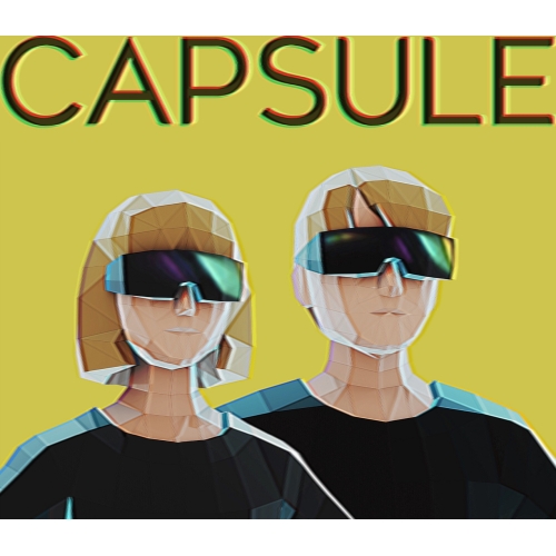 CD / CAPSULE / メトロパルス (初回生産限定盤) / WPCL-13320